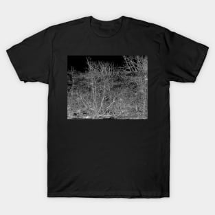 Night in a wild wood T-Shirt